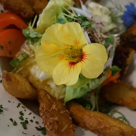 Brennerei Zum Forst Отель *