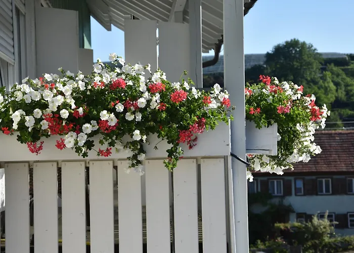 Brennerei Zum Forst * Kressbronn am Bodensee