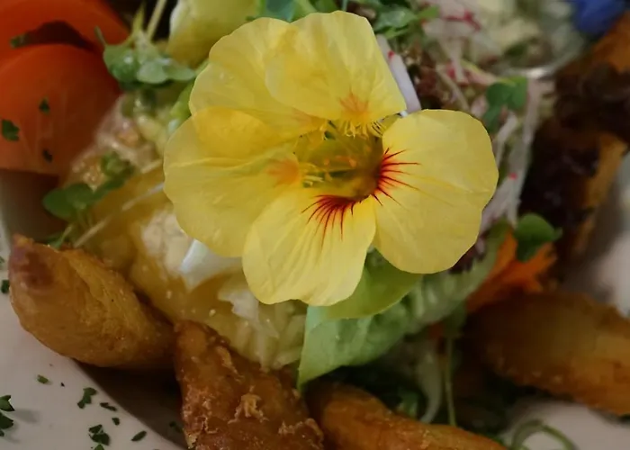 Brennerei Zum Forst Hotel *